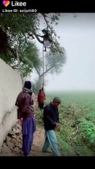 Old is Gold||New Video APP||Pakistani Tailent