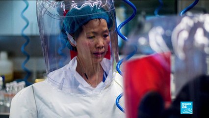 Coronavirus pandemic: WHO team visits Wuhan virus lab at center of speculation