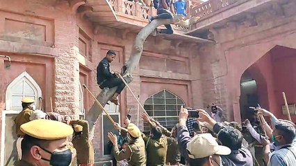jodhpur#Jnvu# पुलिस से बचने चढ़ गया पेड़ पर