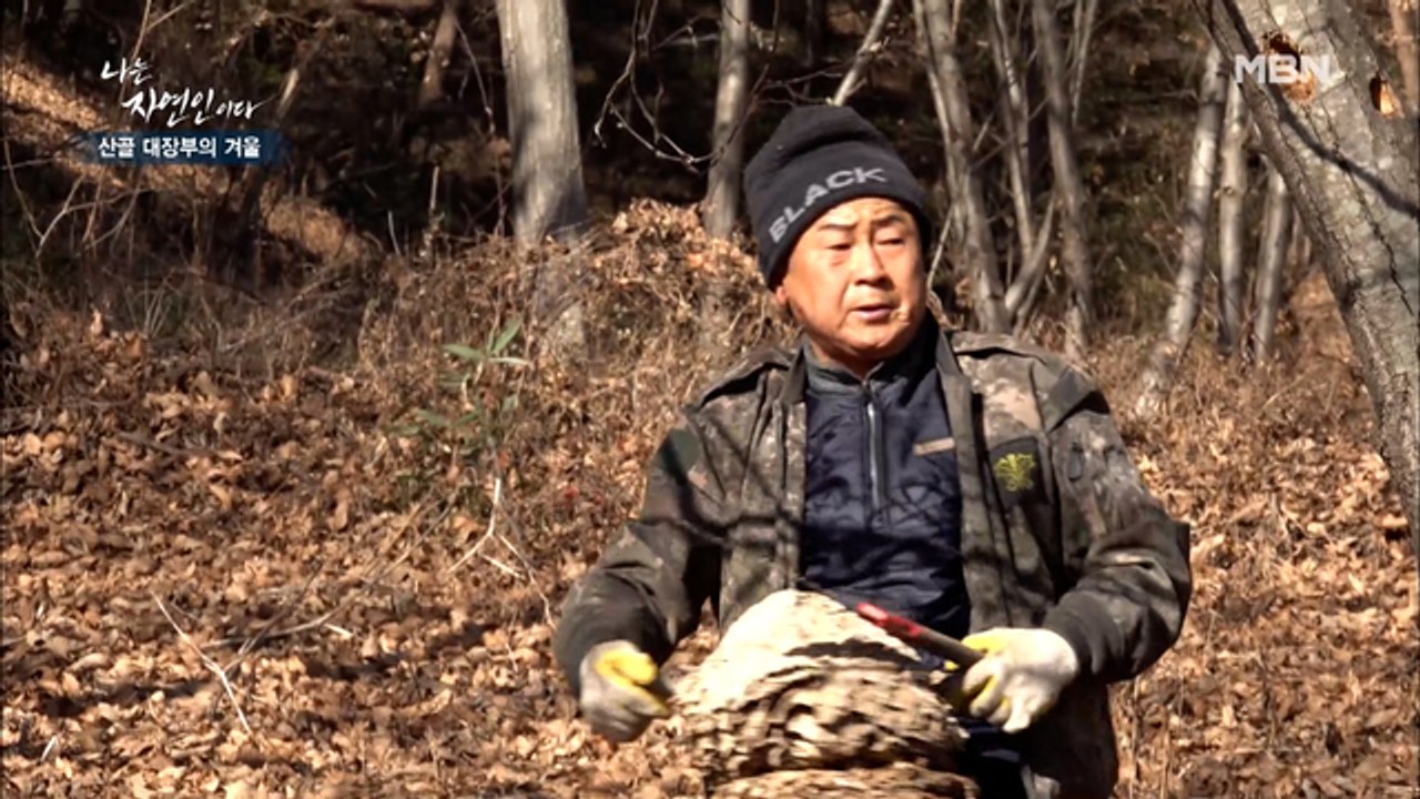 "벌집 따는 다람쥐 봤어?!" 산 다람쥐 같은 오늘의 자연인!