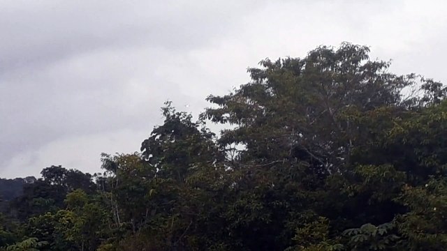 Airbus A321 PT-MXQ na aproximação final antes de pousar em Manaus vindo de Brasília