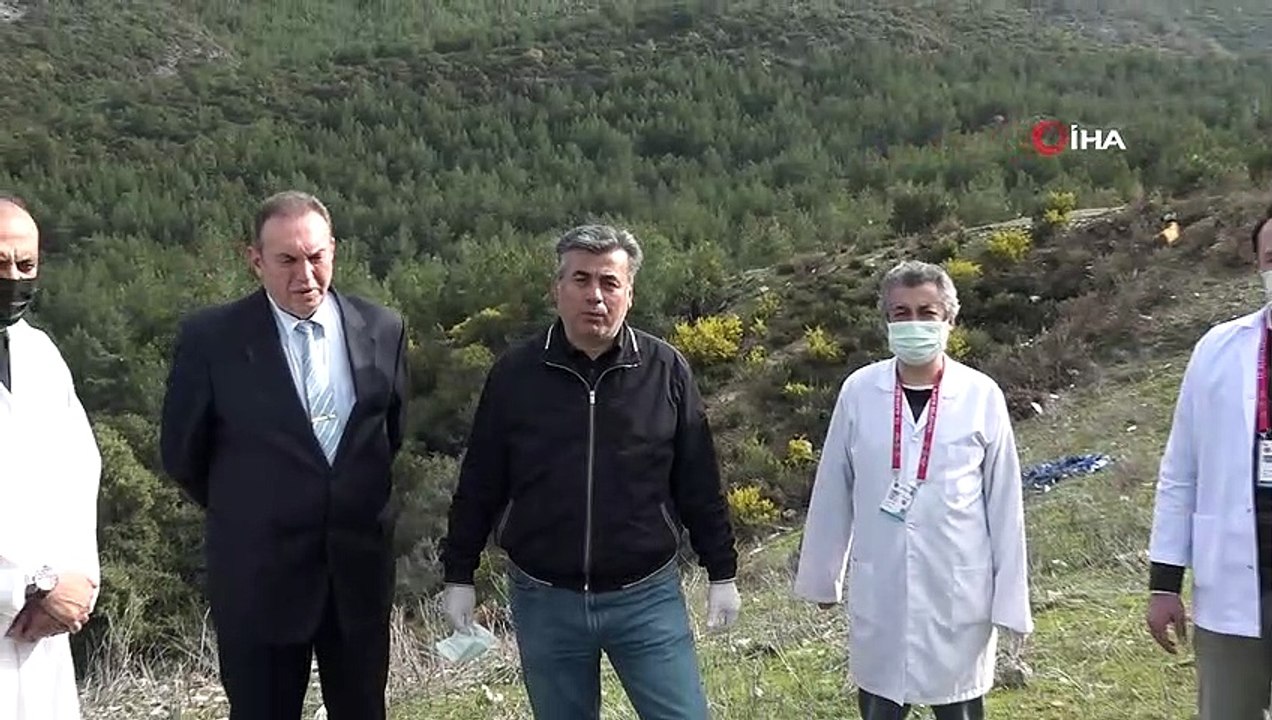 Alanya'da tedavisi tamamlanan 2 şahin ve kartal doğaya salındı