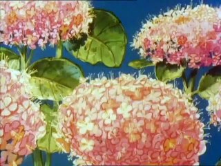 La Abeja Maya - 1x25. Un avispón muy extraño