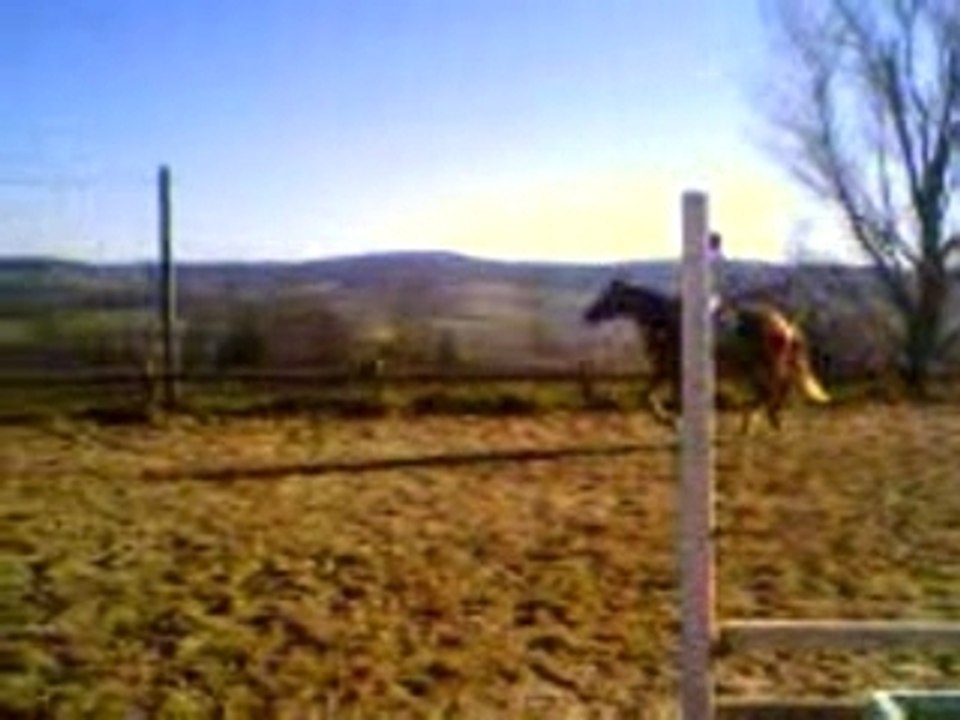 Chute Mayo (26.01.08)