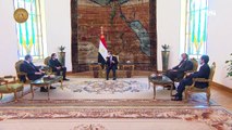 الرئيس عبد الفتاح السيسي يستقبل سعد الحريري المكلف برئاسة الحكومة اللبنانية