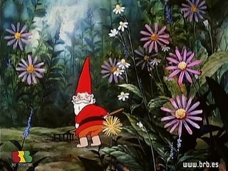 Tipos de gnomos y sus características