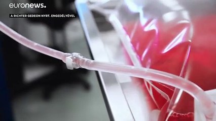 Ígéretesnek tűnik a magyar fejlesztésű koronavírus elleni gyógyszer