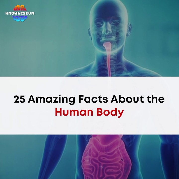 25 Amazing Facts About the Human Body | Human Body Unknown Knowledge Facts Video | Science Facts