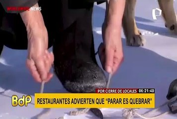 Siberia: anciana de 79 años patina todos los días para alimentar a sus vacas