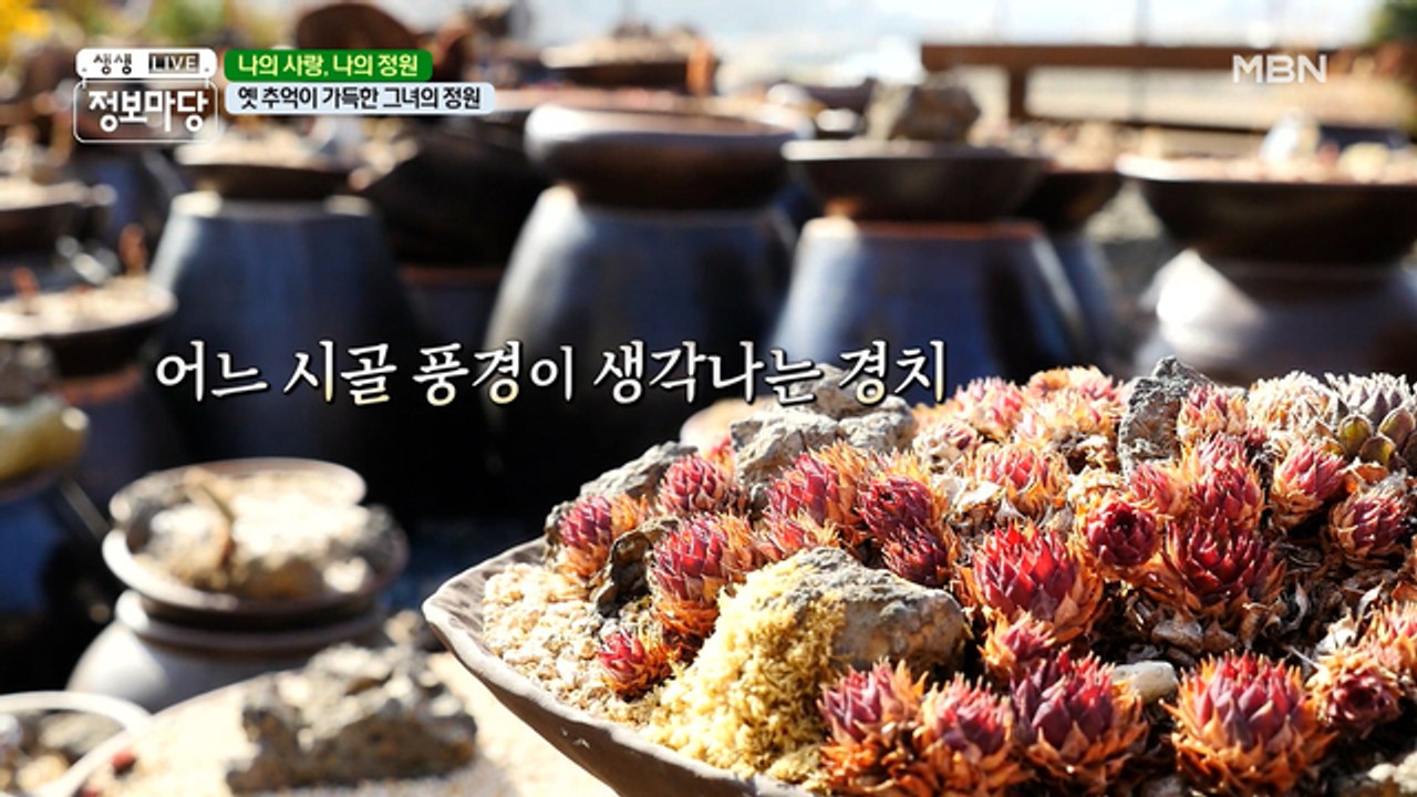 생명력이 느껴지는 이곳은 사계절 내내 봄! 나의 사랑, 나의 정원! (❀╹◡╹)