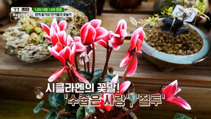 너의 이름은...? 꽃말을 알아보아요~ ʕ•ﻌ•ʔ