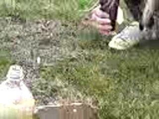 Expérience Coca-cola