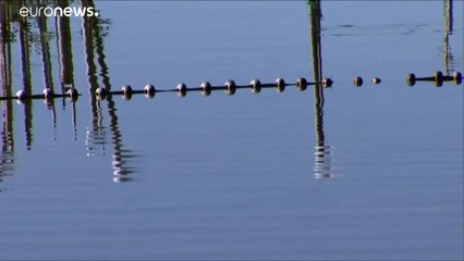 Contaminación y sobreexplotación: la amenaza de los valiosos humedales españoles