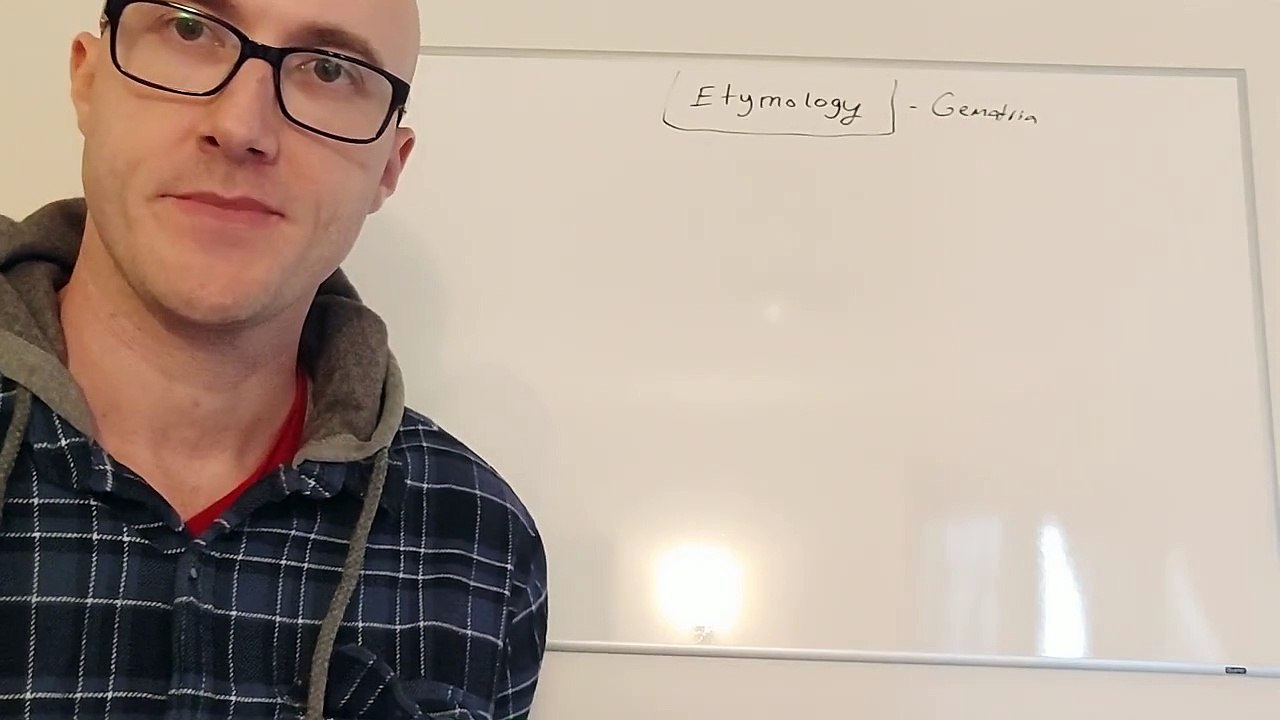 DMT MACHNE ELVES HACKING REALITY WITH LANGUAGE AND SYMBOLS