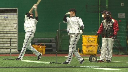 27년 만에 우승 바라보는 LG, 키워드는 '토종 선발진' / YTN