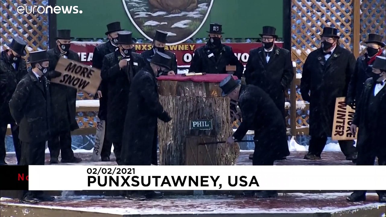 Puuh! murmeltier phil sagt noch 6 wochen winter voraus