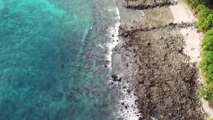 Wish You Where Here - Pink Floyd - (Christian Freiga)