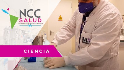 El método PCR también puede detectar alimentos falsos