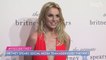 Britney Spears' Social Media Manager Addresses 'Inaccurate' Conspiracy Theories and 'Nasty Comments'