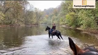 Arabian Horse trip shudder in River stream and plummet triptogether with 5g male