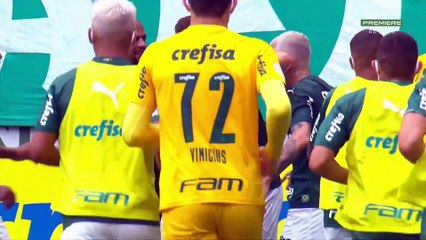 Palmeiras x Botafogo (Campeonato Brasileiro 2020 33ª rodada) 1º tempo