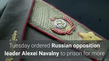 Putin foe Navalny sentenced to 2 12 years in prison