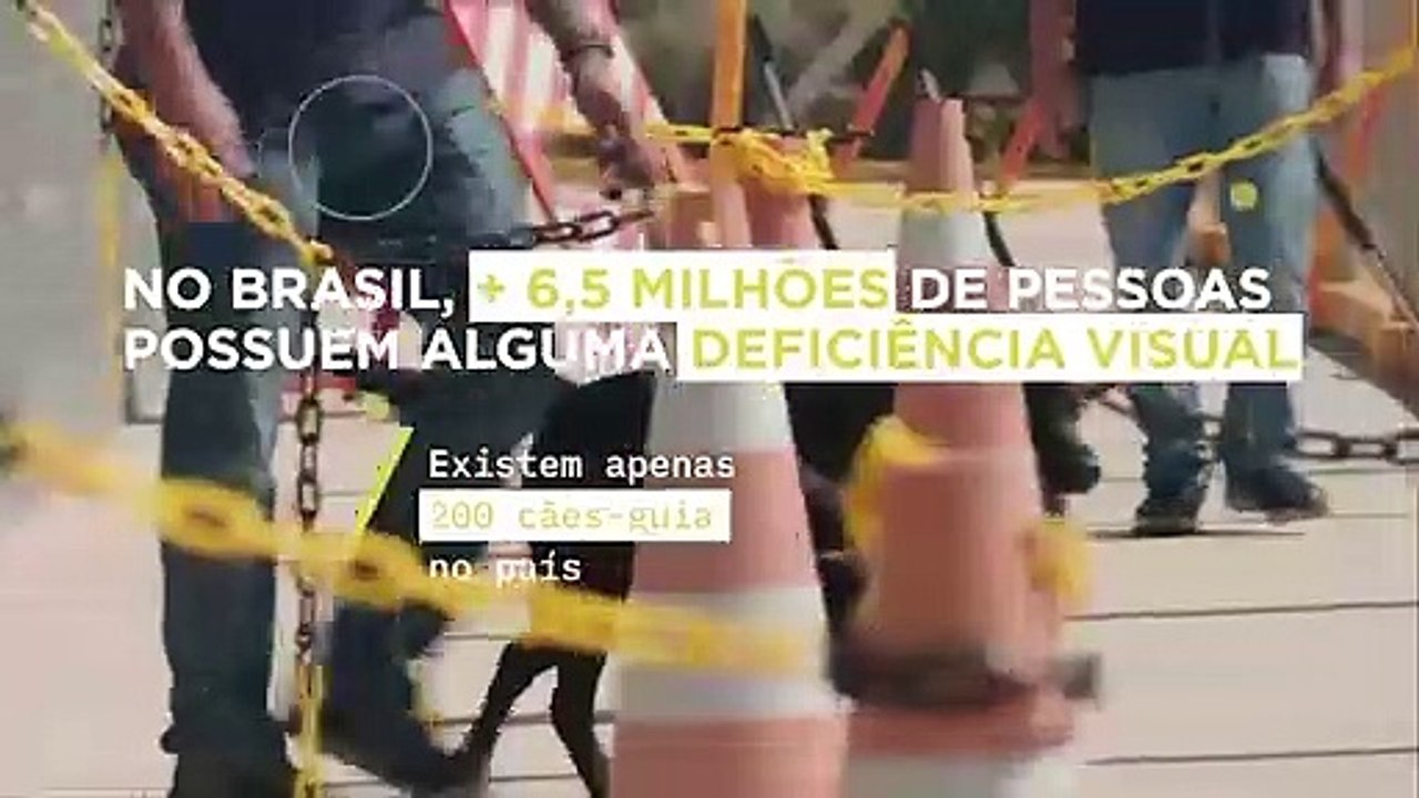 Trailer "Olhar de Cão"