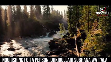 Where Is The Paradise Of Earth - Islami Lecture