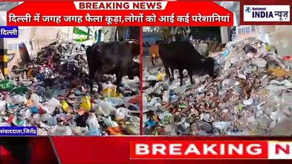 DELHI ME HAR JAGAH FALA HIA KURE KA DHER JIMMEDAR KAON