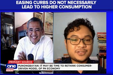 Easing curbs do not necessarily lead to higher consumption - expert