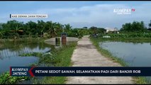 Petani sedot sawah selamatkan padi dari banjir rob