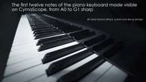 Piano Notes Visualized