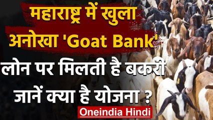 Maharashtra में किसान ने खोला अनोखा 'Goat Bank', Loan पर मिलती है बकरी  |वनइंडिया हिंदी