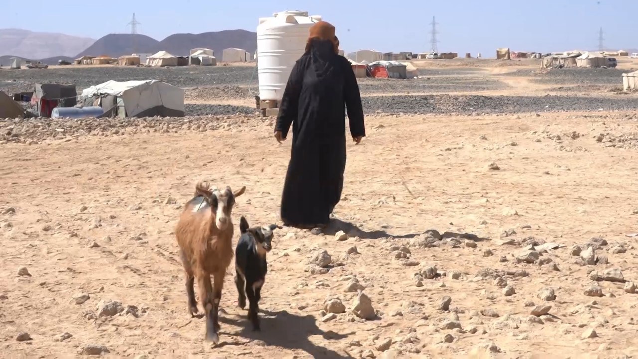 الصقيع يفاقم معاناة النازحين في اليمن