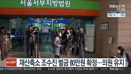 재산축소 조수진 벌금 80만원 확정…의원 유지