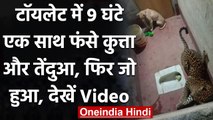 Viral Video: Toilet में हुआ Dog का Leopard से सामना, आगे जाने फिर क्या हुआ ? । वनइंडिया हिंदी