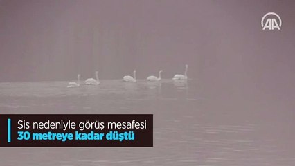 Sis nedeniyle görüş mesafesi 30 metreye kadar düştü