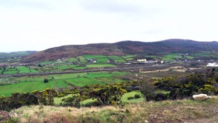 Sempre più difficile la situazione al confine fra Repubblica d'Irlanda e Irlanda del nord