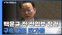 '월성 원전' 의혹 백운규 전 장관 구속 내일 판가름 / YTN