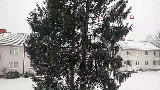- Almanya şiddetli kar yağışıyla mücadele ediyor