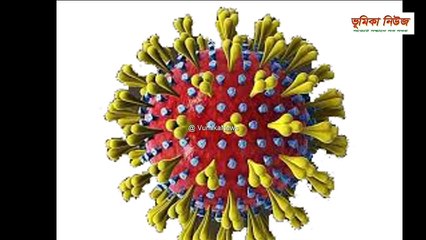 করোনার পর চীনে হান্টা ভাইরাস |_Hantavirus _ হান্টা ভাইরাস _ করোনার পর হান্টা ভাইরাস