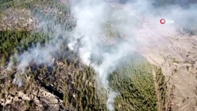 Taşköprü ve Boyabat sınırında 2 ayrı orman yangını
