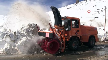 Kar kaplanlarının zorlu kış mesaisi