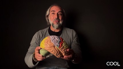 Cómo potenciar nuestra inteligencia, por Carlos Pérez-Carracedo