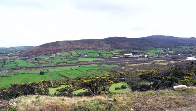 ЕС и Лондон снова спорят: а даст ли таможня дает добро?