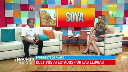 Anapo informa sobre 60.000 hectáreas de cultivos afectadas por las lluvias