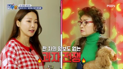 동안 스타 미나의 과자 전쟁!