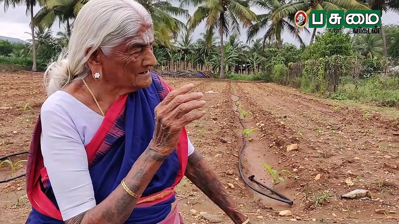 '105 வயதில் விவசாயத்துக்காக பத்மஶ்ரீ விருது...' - சாதிக்கும் பாப்பம்மாள் பாட்டி!