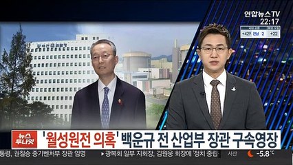 '월성원전 의혹' 백운규 전 산업부 장관 영장 청구