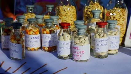 Büyükşehir, yerel tohumların dağıtımına başladı